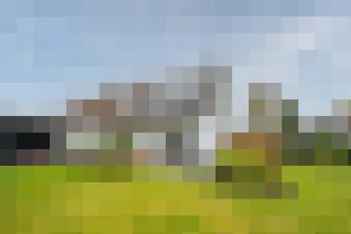 Koninginnelaan 15 Panningen thumbnail 4