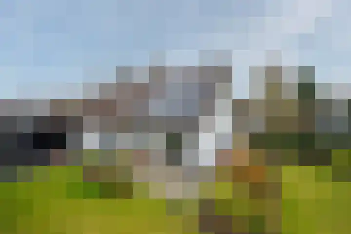 Koninginnelaan 15 Panningen thumbnail 44