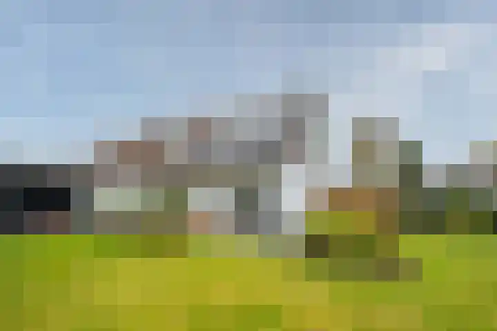 Koninginnelaan 15 Panningen thumbnail 46