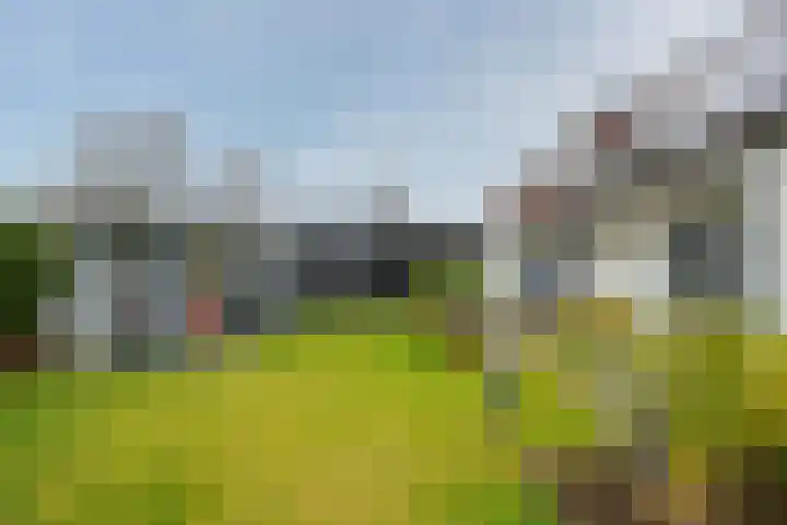 Koninginnelaan 15 Panningen thumbnail 47
