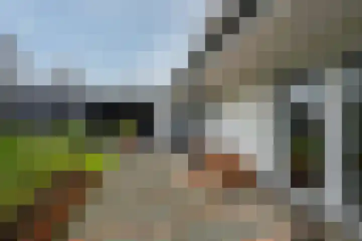 Koninginnelaan 15 Panningen thumbnail 48