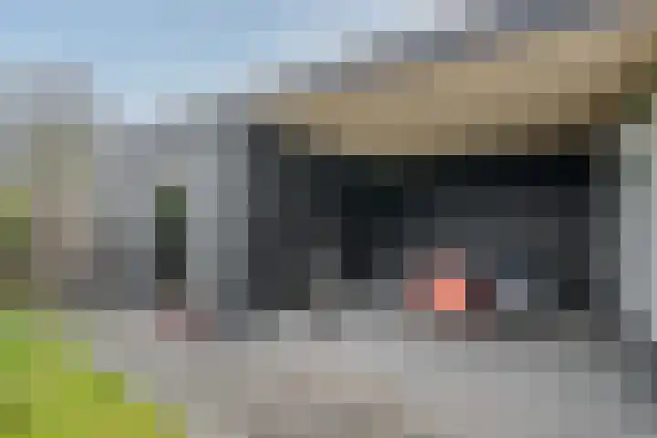 Koninginnelaan 15 Panningen thumbnail 49