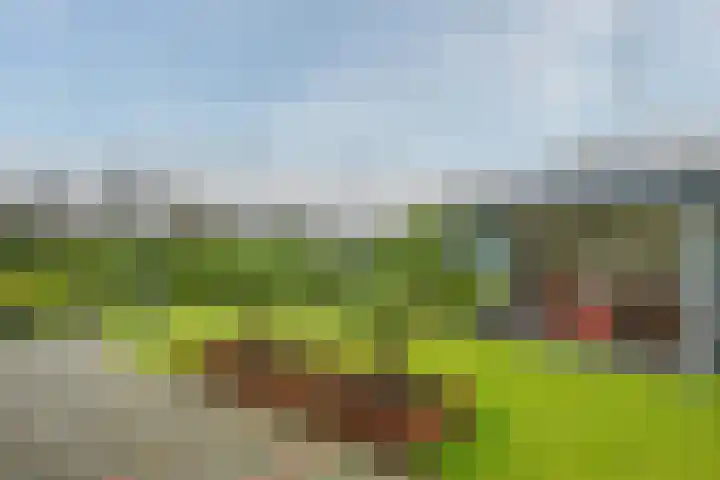 Koninginnelaan 15 Panningen thumbnail 51