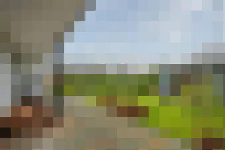 Koninginnelaan 15 Panningen thumbnail 53