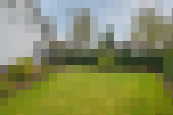 Koninginnelaan 15 Panningen thumbnail 54