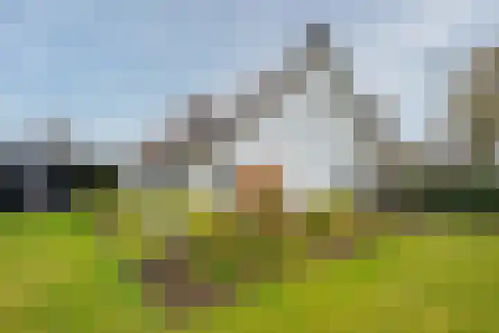 Koninginnelaan 15 Panningen thumbnail 55