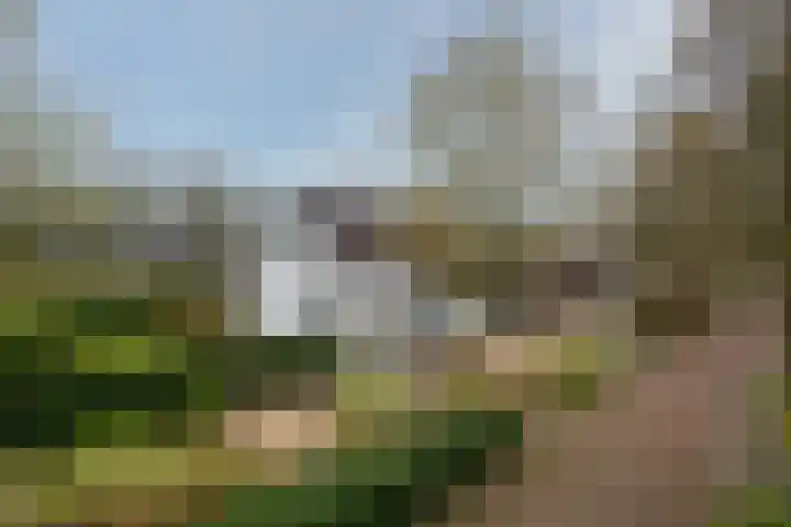 Koninginnelaan 15 Panningen thumbnail 57