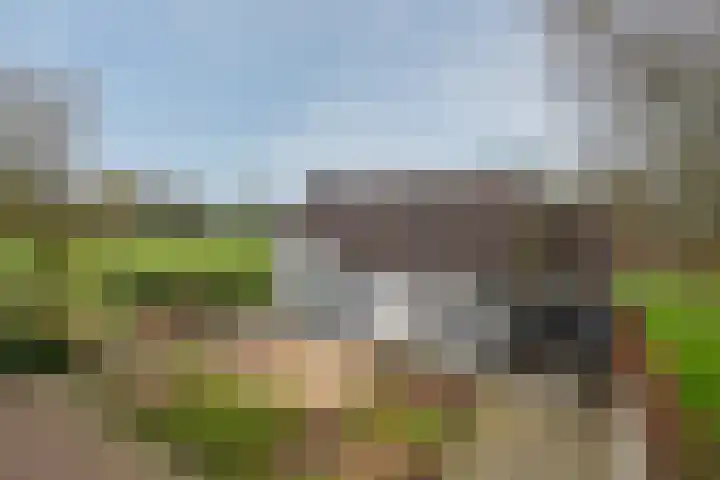 Koninginnelaan 15 Panningen thumbnail 58
