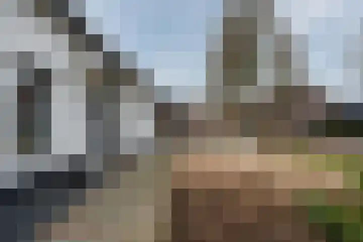 Koninginnelaan 15 Panningen thumbnail 60