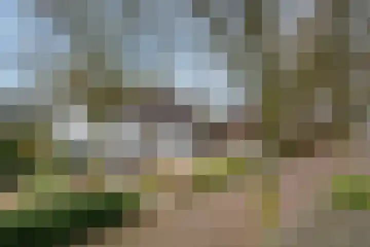 Koninginnelaan 15 Panningen thumbnail 64