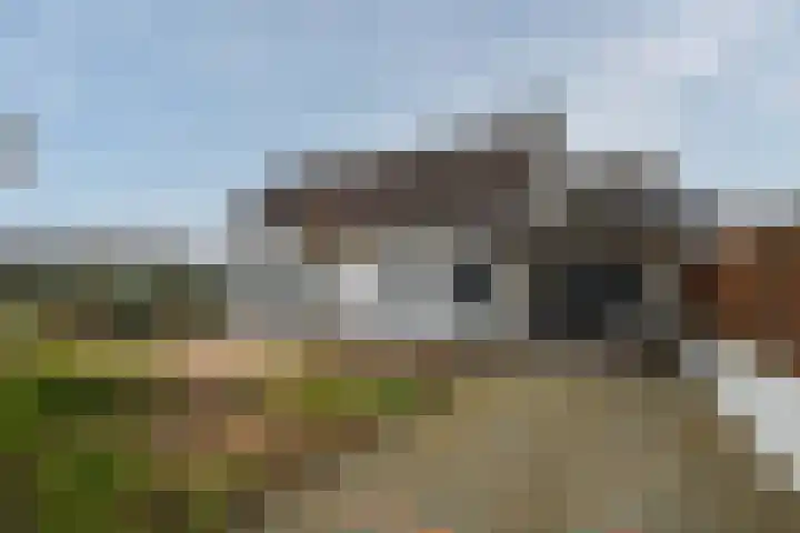Koninginnelaan 15 Panningen thumbnail 68