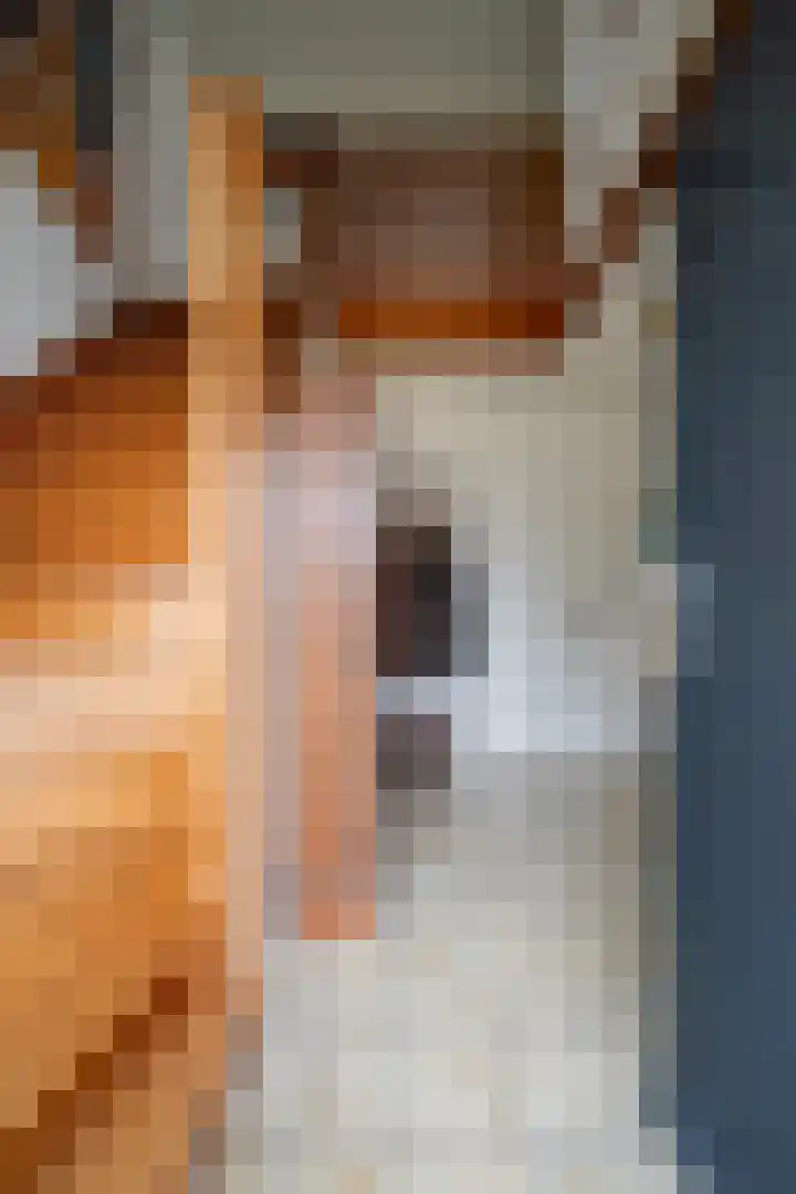 Koninginnelaan 15 Panningen thumbnail 8