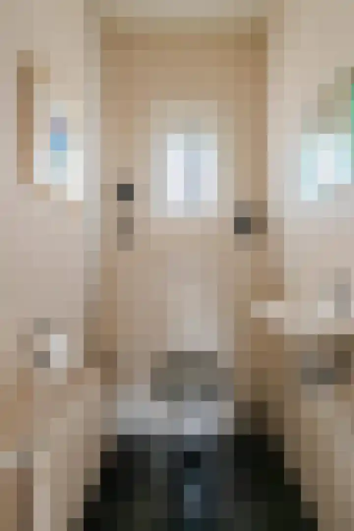 Koninginnelaan 15 Panningen thumbnail 9
