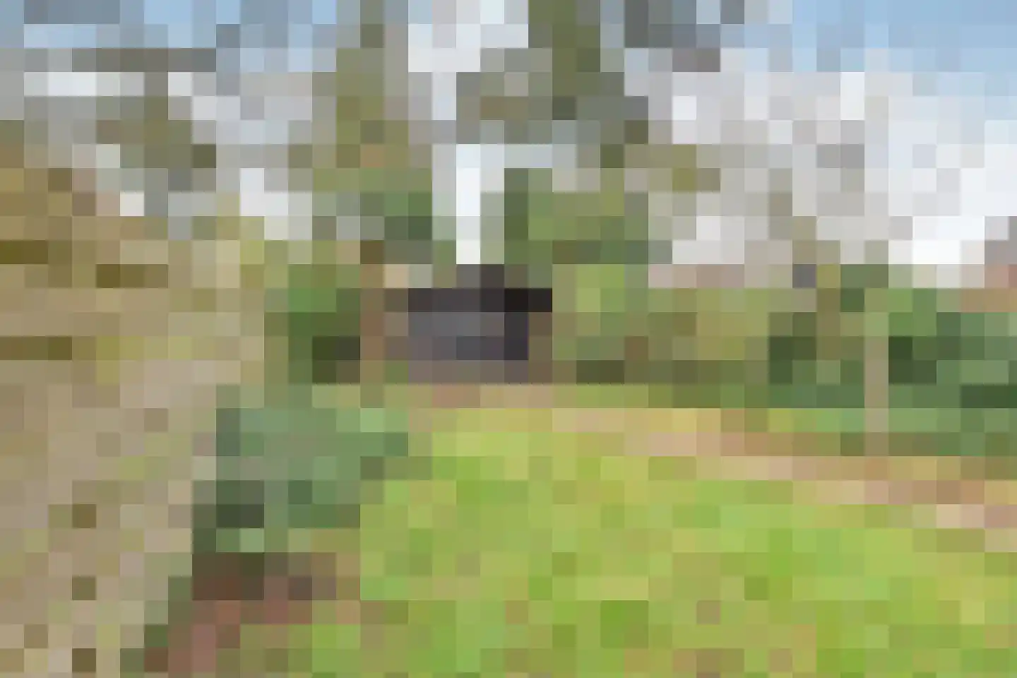 Koninginnelaan 155 Soest thumbnail 11