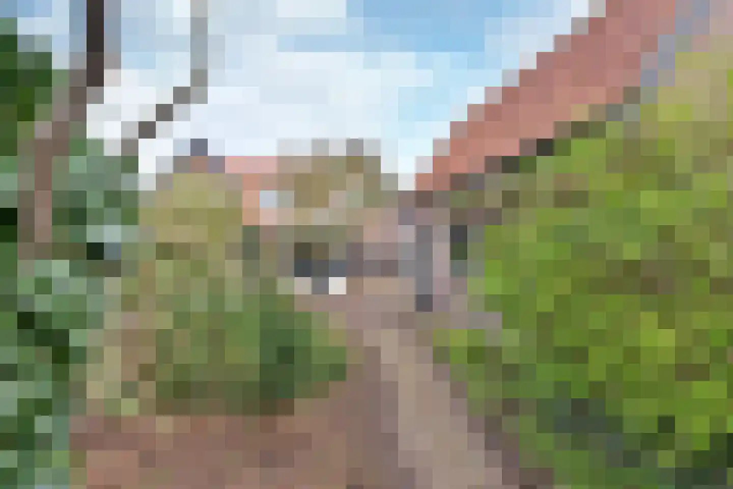 Koninginnelaan 155 Soest thumbnail 12
