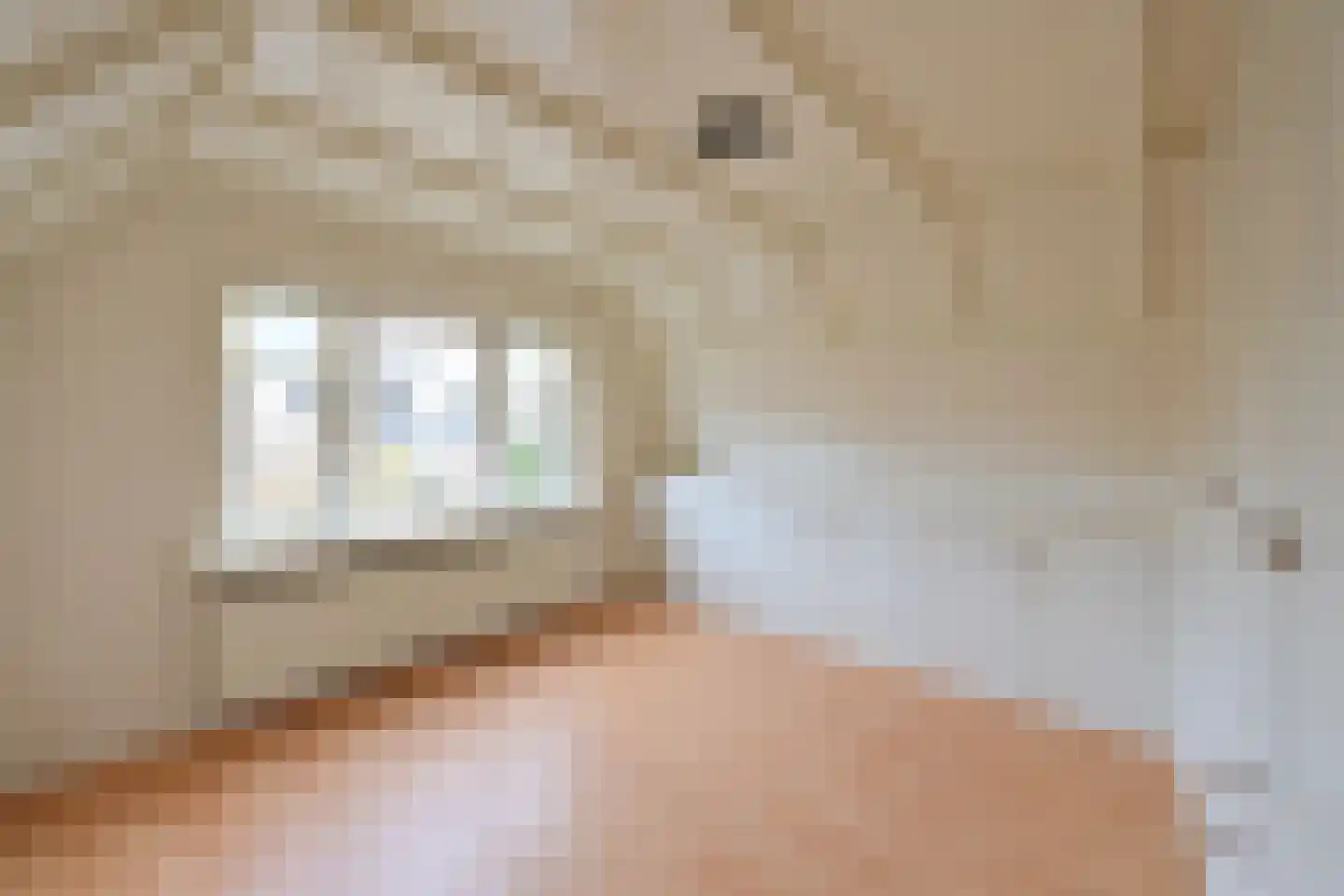 Koninginnelaan 155 Soest thumbnail 17