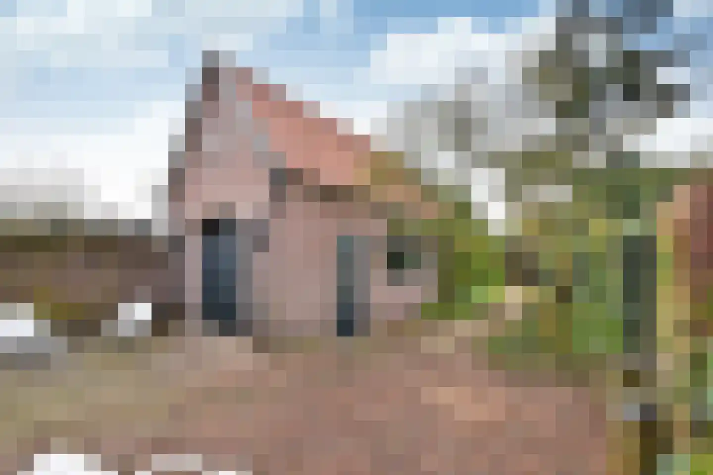 Koninginnelaan 155 Soest thumbnail 20