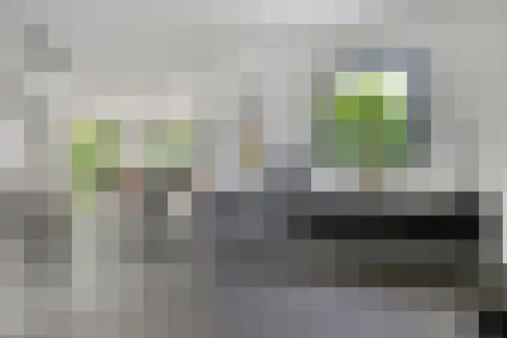Koninginnelaan 158 Soest thumbnail 10