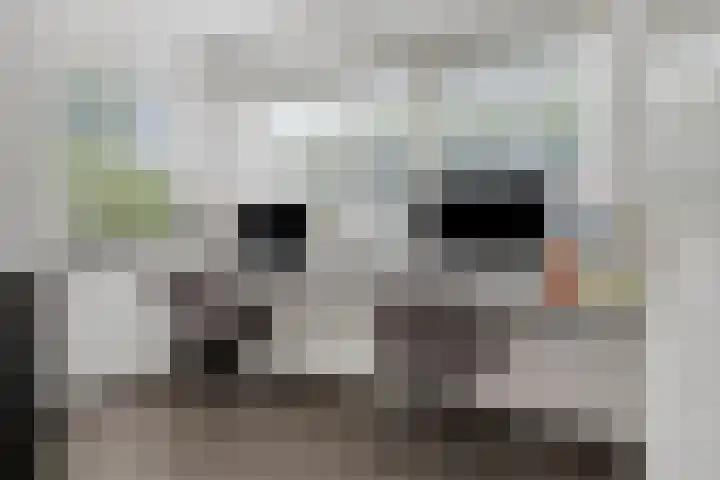 Koninginnelaan 158 Soest thumbnail 16