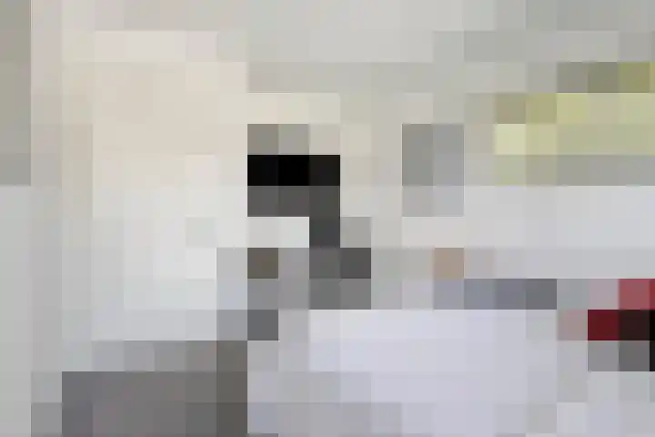 Koninginnelaan 158 Soest thumbnail 31