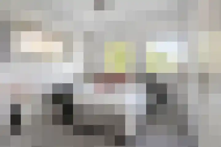 Koninginnelaan 158 Soest thumbnail 33