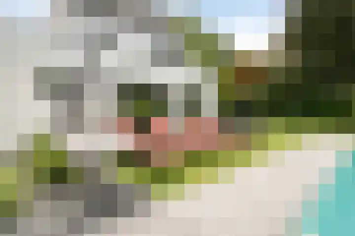 Koninginnelaan 158 Soest thumbnail 50