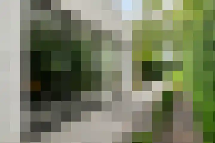 Koninginnelaan 158 Soest thumbnail 56