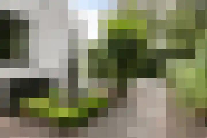 Koninginnelaan 158 Soest thumbnail 58