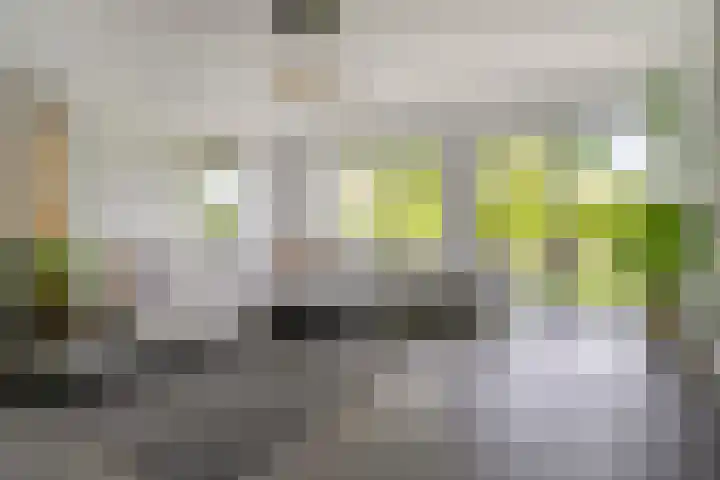 Koninginnelaan 158 Soest thumbnail 6