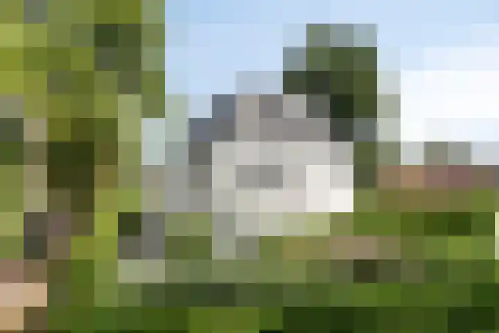 Koninginnelaan 158 Soest thumbnail 60