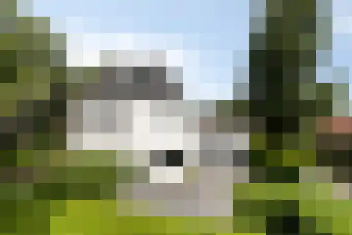 Koninginnelaan 158 Soest thumbnail 61