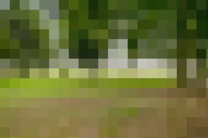 Koninginnelaan 158 Soest thumbnail 67