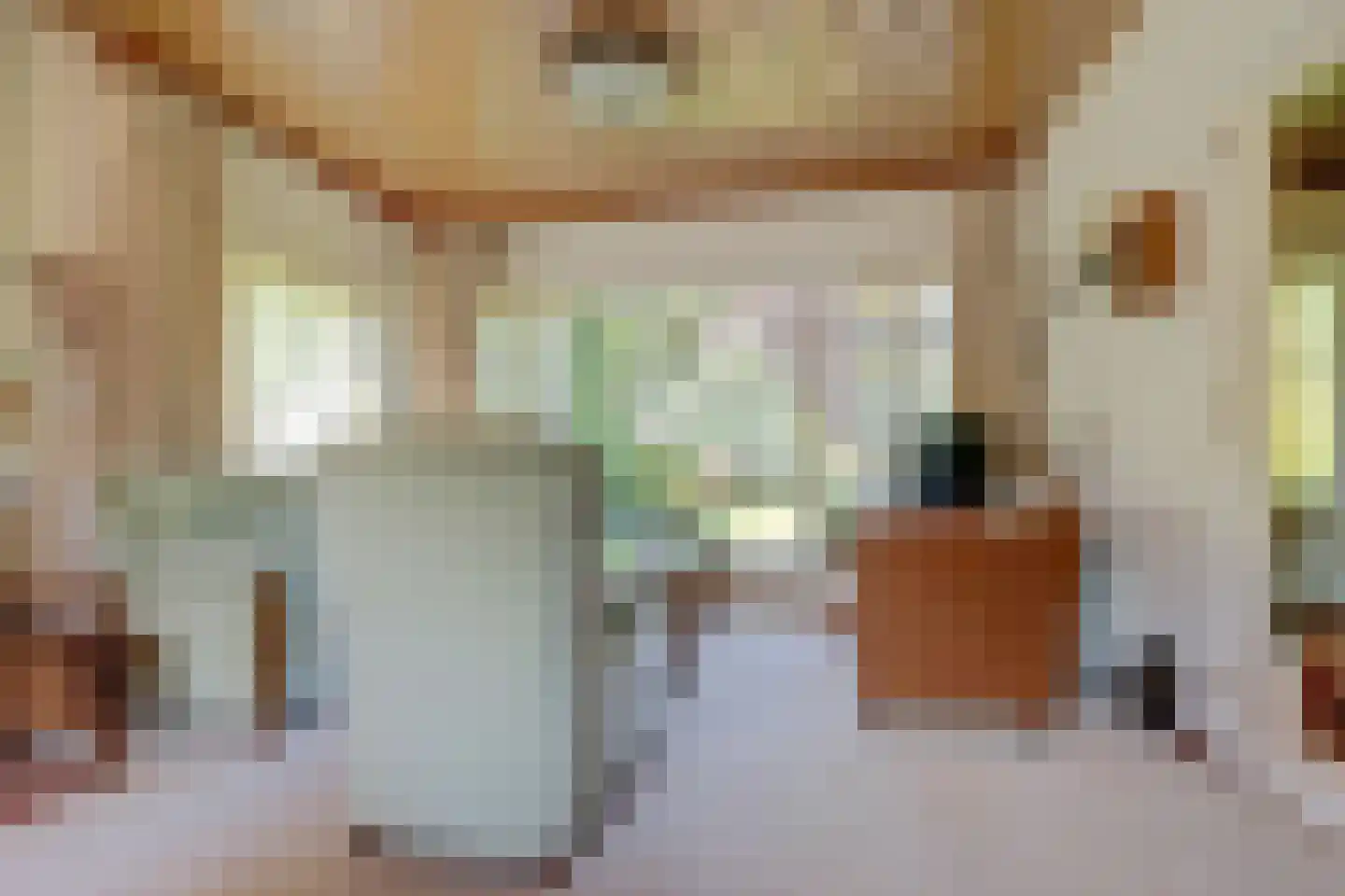 Koninginnelaan 16 A Rozenburg thumbnail 11