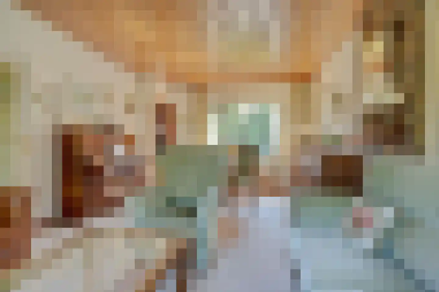 Koninginnelaan 16 A Rozenburg thumbnail 12