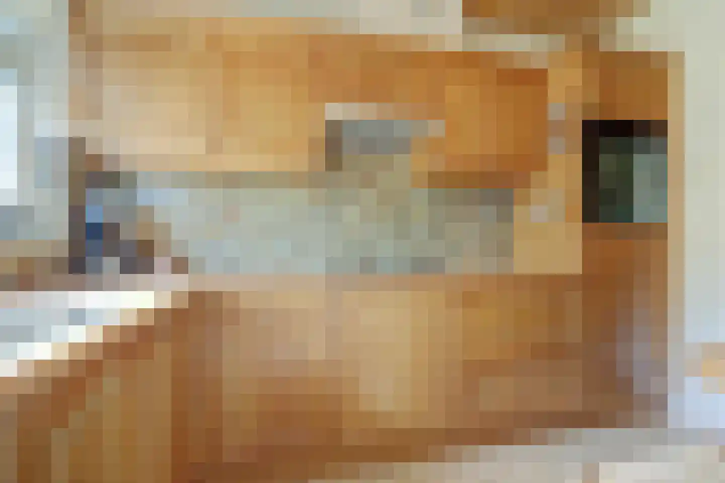 Koninginnelaan 16 A Rozenburg thumbnail 18