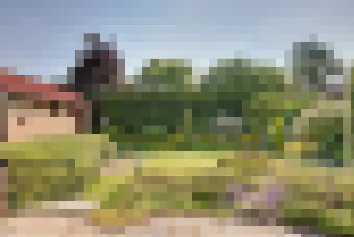 Koninginnelaan 16 A Rozenburg thumbnail 34