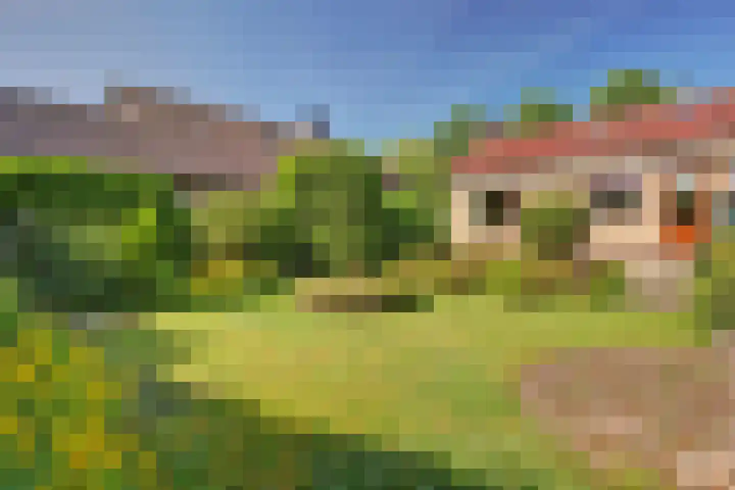 Koninginnelaan 16 A Rozenburg thumbnail 35