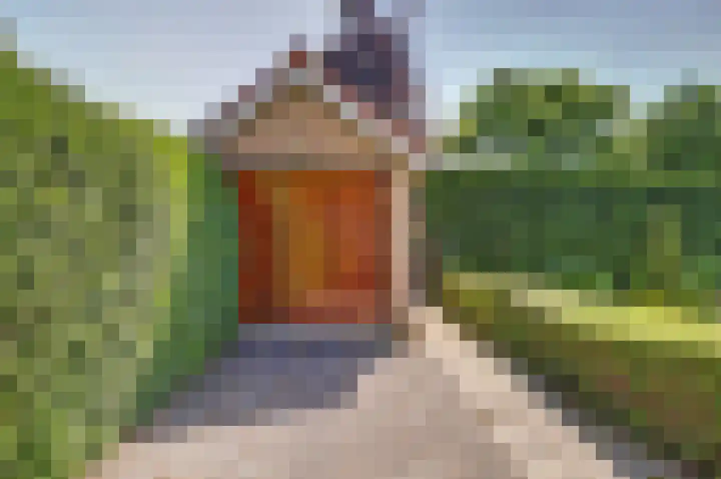 Koninginnelaan 16 A Rozenburg thumbnail 39
