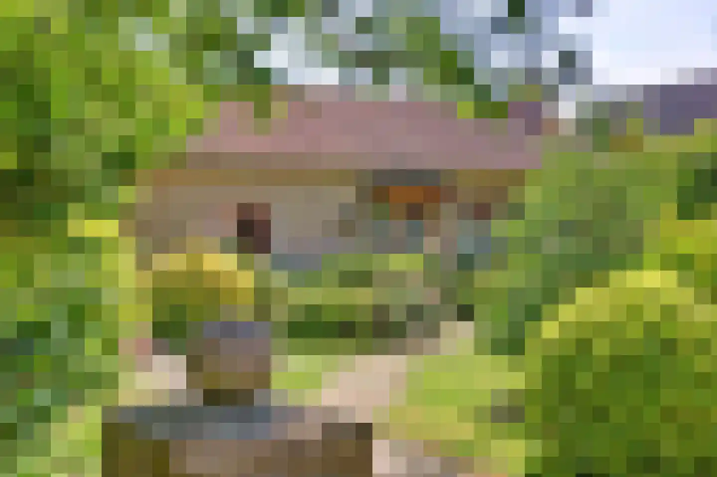Koninginnelaan 16 A Rozenburg thumbnail 42