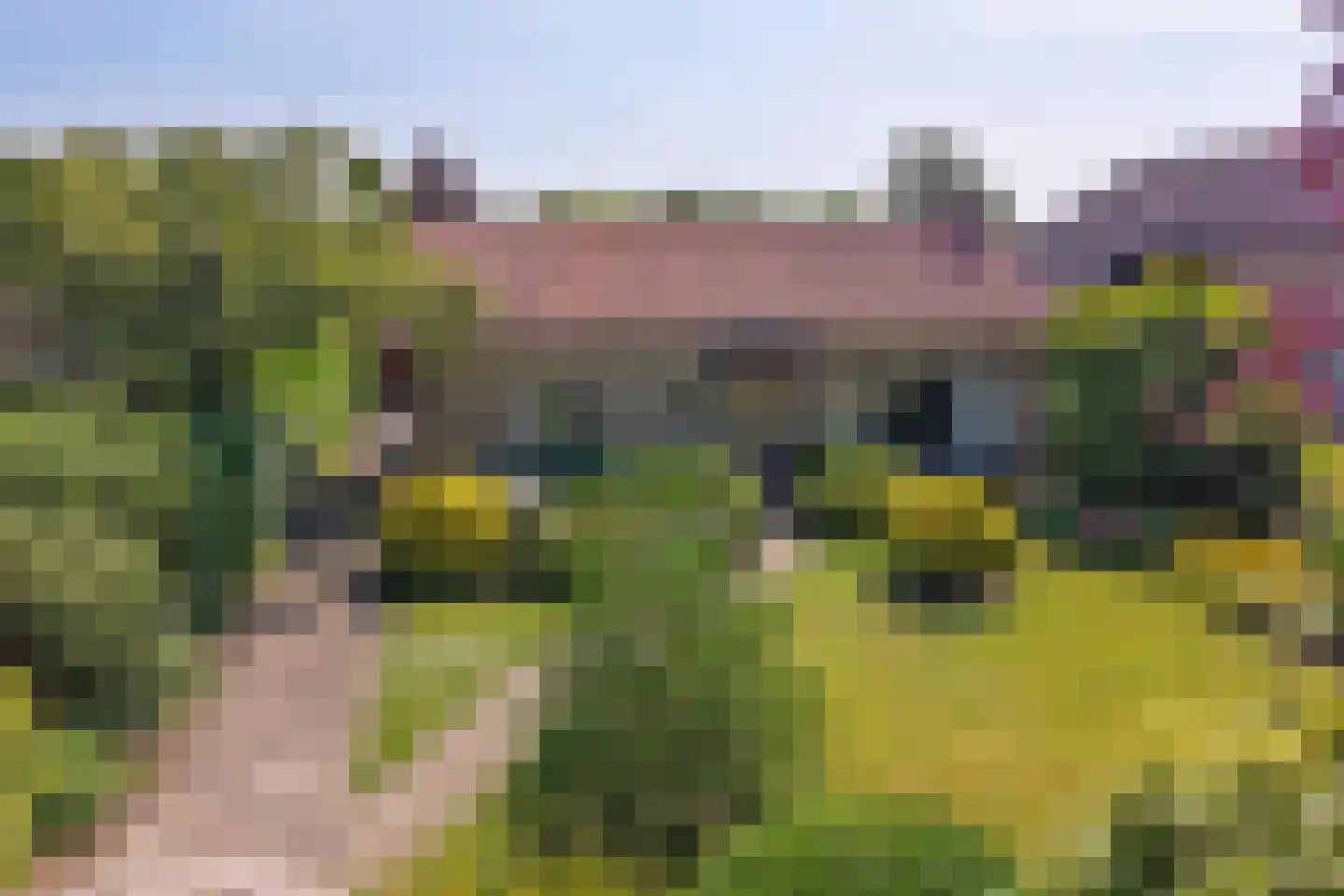 Koninginnelaan 16 A Rozenburg thumbnail 44