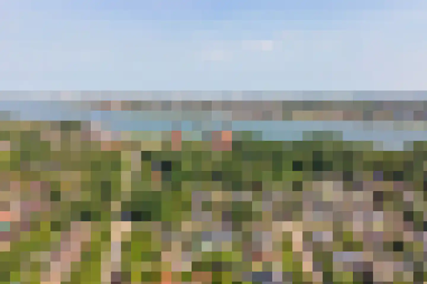 Koninginnelaan 16 A Rozenburg thumbnail 47