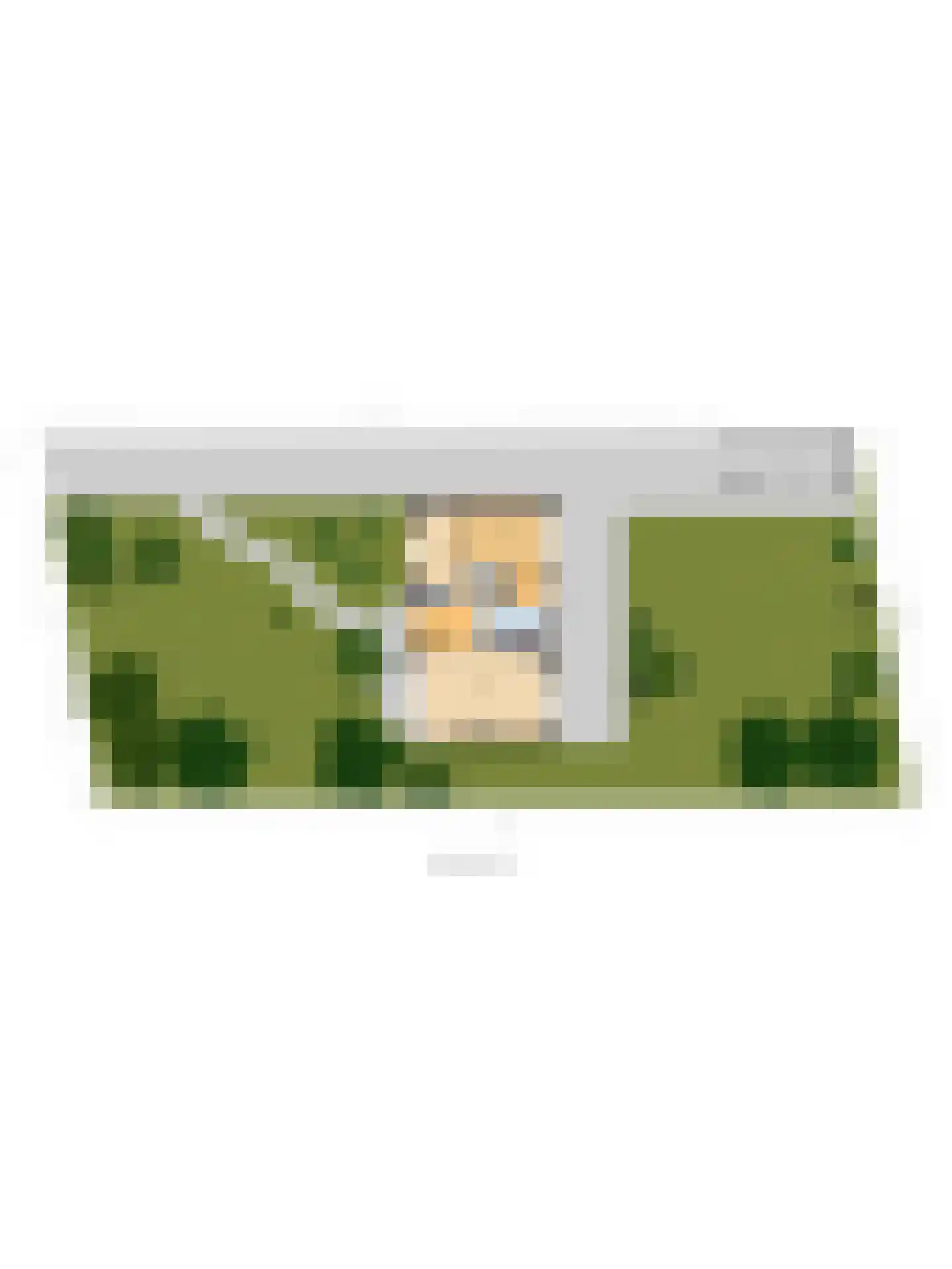 Koninginnelaan 16 A Rozenburg thumbnail 50