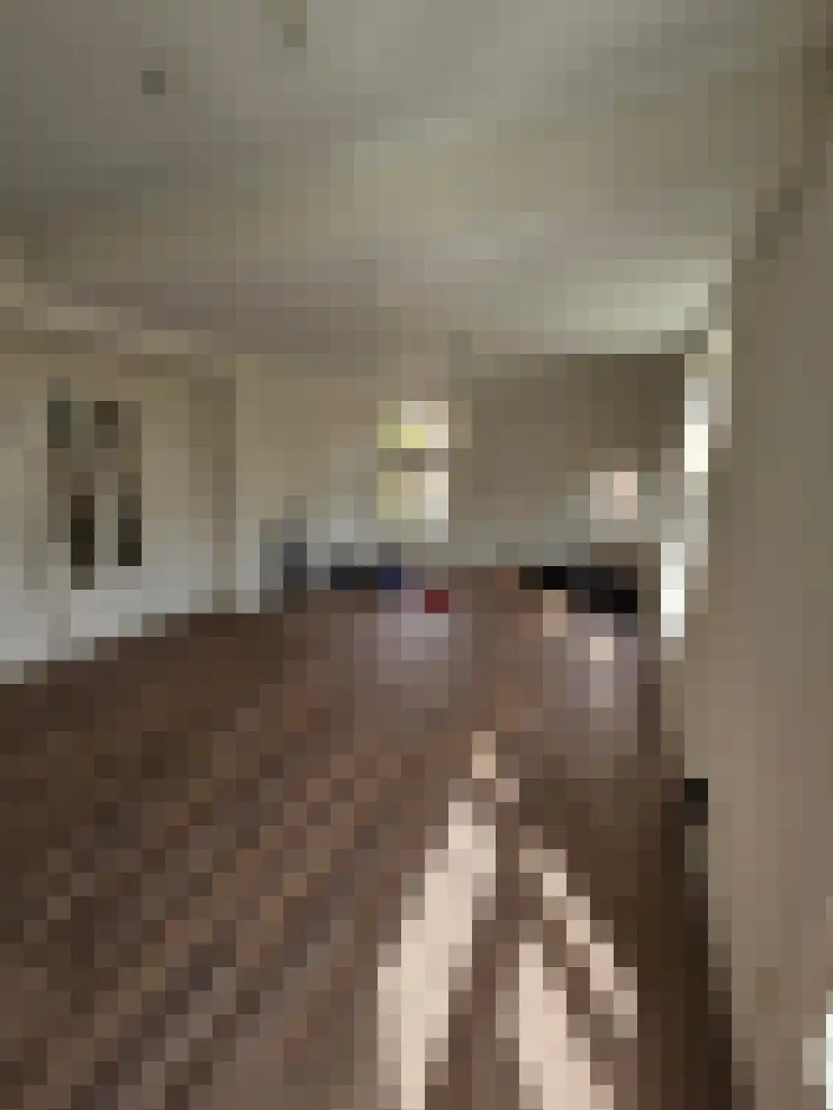 Koninginnelaan 16 Groningen thumbnail 4