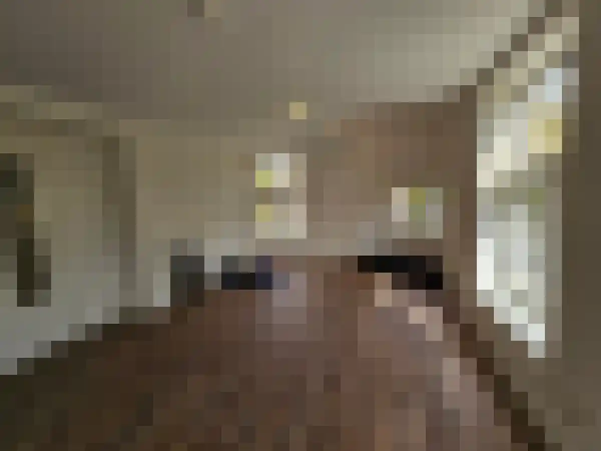 Koninginnelaan 16 Groningen thumbnail 5