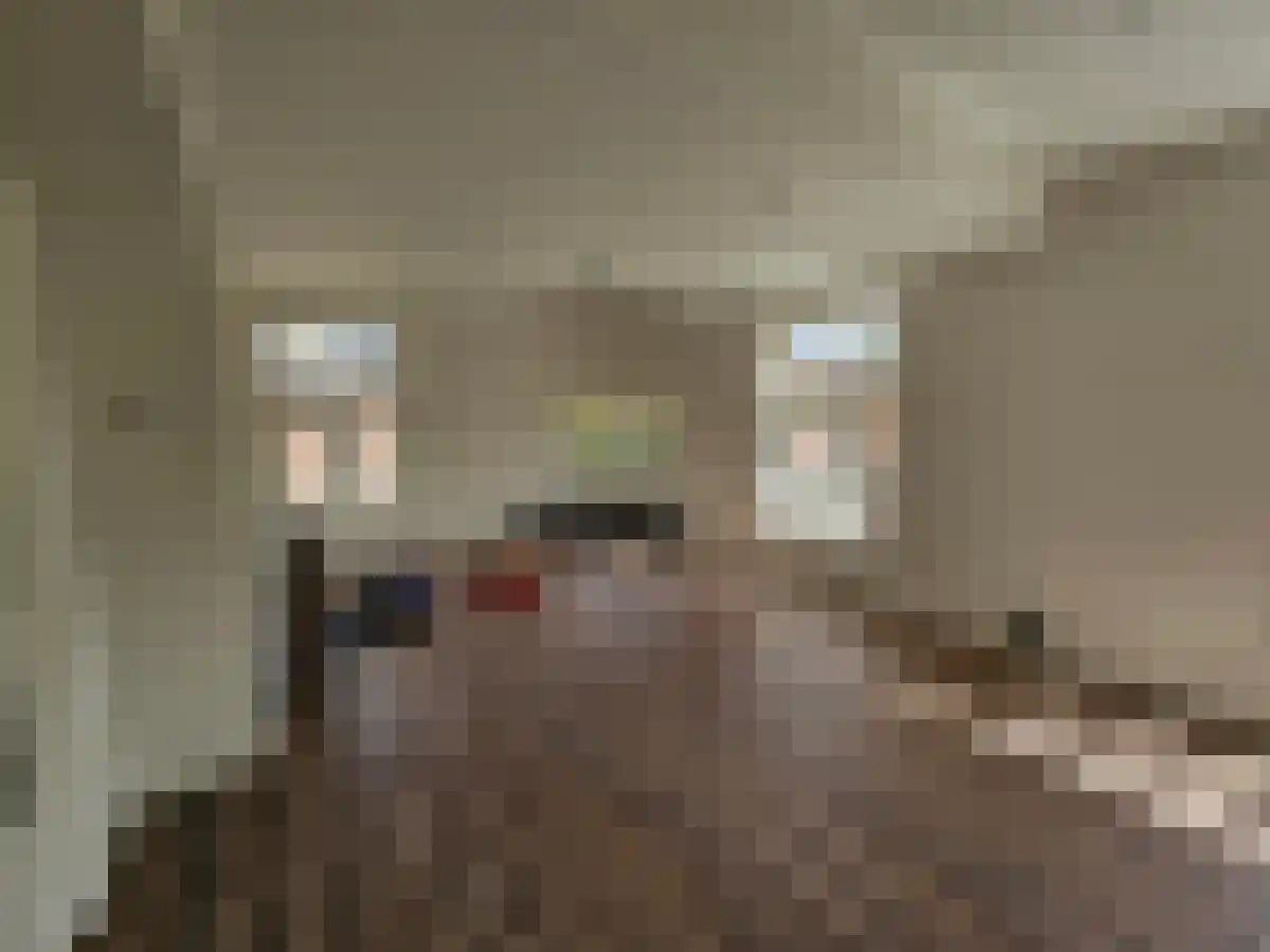Koninginnelaan 16 Groningen thumbnail 6