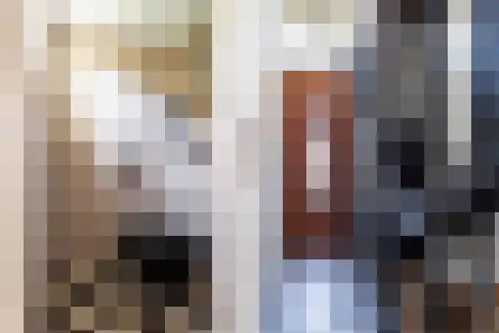Koninginnelaan 17 Apeldoorn thumbnail 12