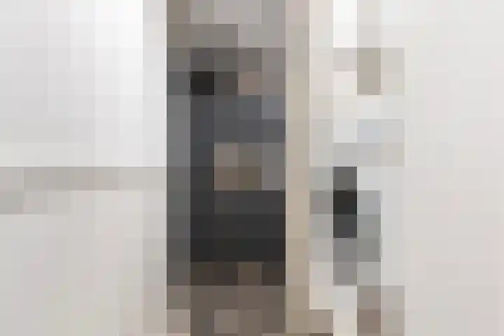 Koninginnelaan 17 Apeldoorn thumbnail 14