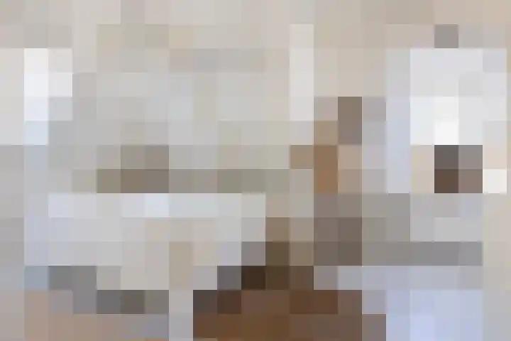 Koninginnelaan 17 Apeldoorn thumbnail 17
