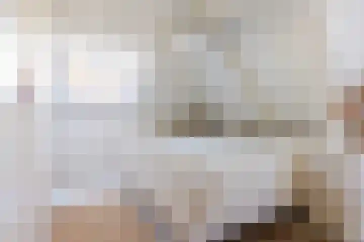 Koninginnelaan 17 Apeldoorn thumbnail 18