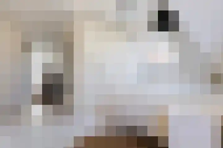 Koninginnelaan 17 Apeldoorn thumbnail 19